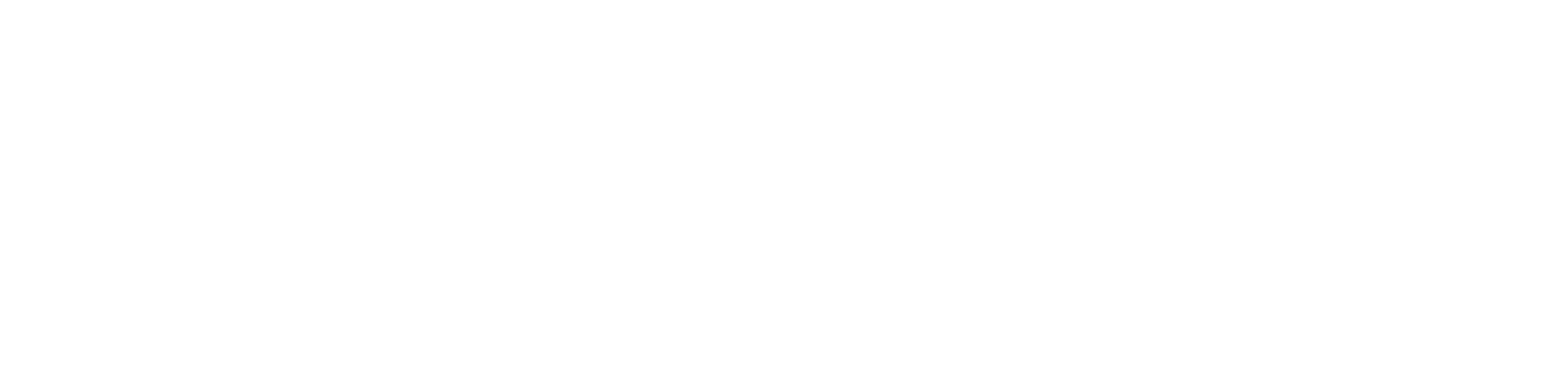 national media logo